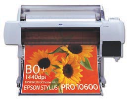 Epson Stylus Pro 10600 printing supplies